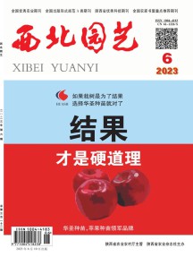 西北园艺·综合杂志